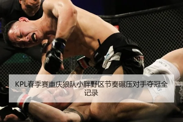 chun-ji-sai-chong-qing-lang-dui-xiao-pang-ye-qu-jie-zou-nian-ya-dui-shou-duo-guan-quan-ji-lu-3-433.jpg